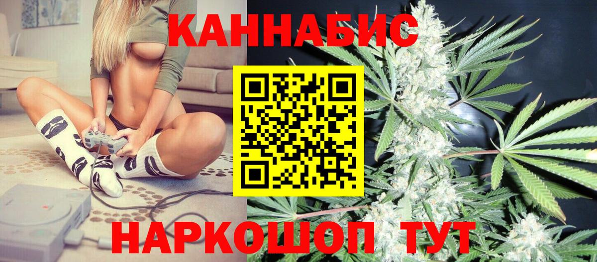 Каннабис сатива Отрадный